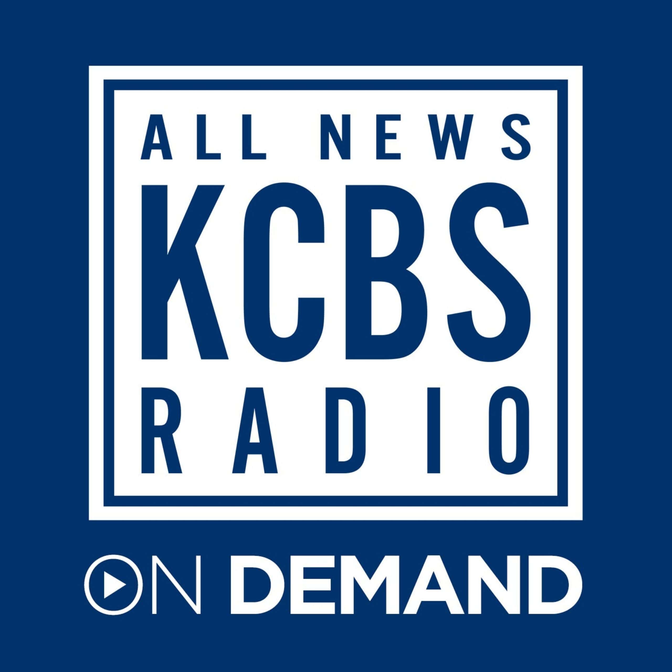 Rylee Grace Foundation Talks About Their Mission with Shannon Golden from KCBS: All News Radio: Part 2